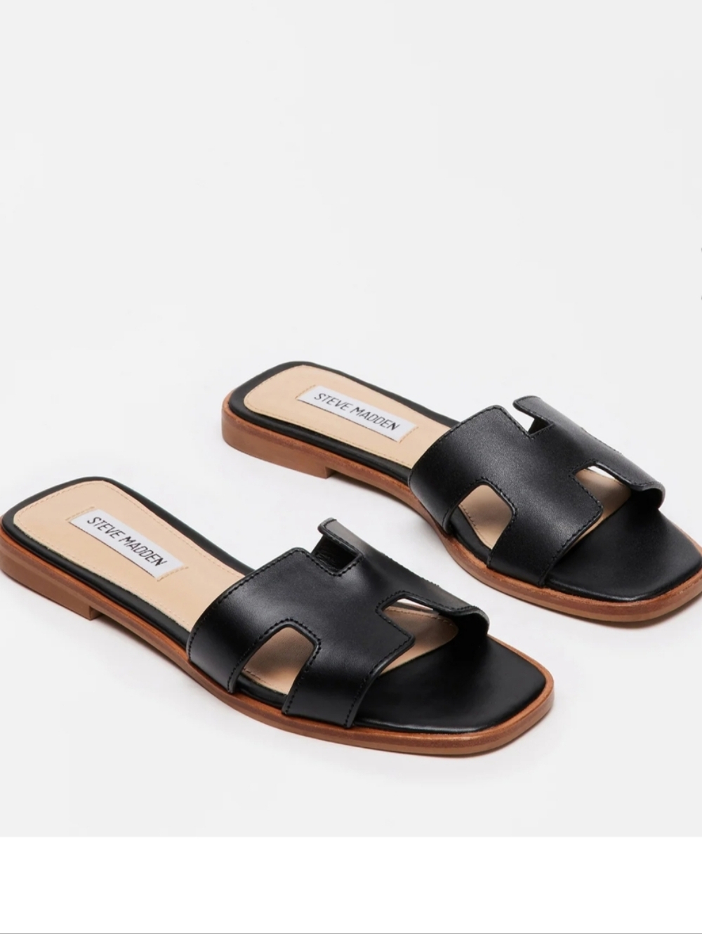 Steve Madden Hadyn Black Leather Slide Sandal
